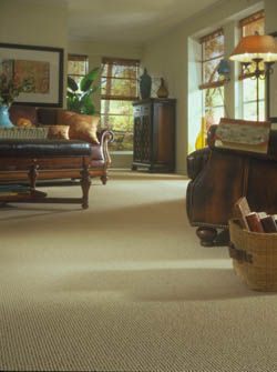 carpet flooring in charlottetown