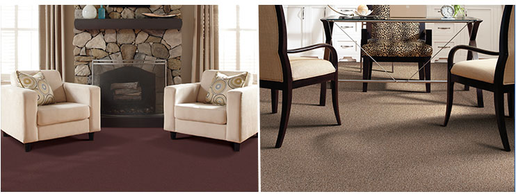 Tigressa Cherish carpet living room office